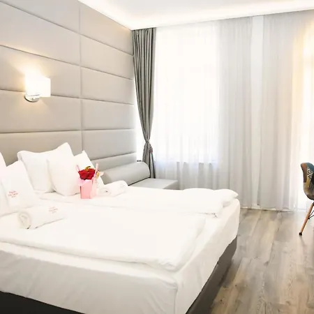 Center 普罗夫迪夫