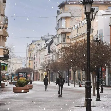 Center 普罗夫迪夫