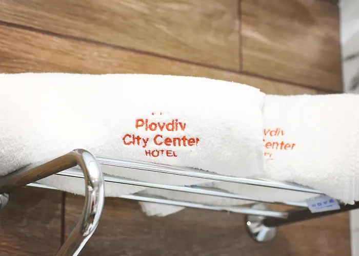 Center 普罗夫迪夫