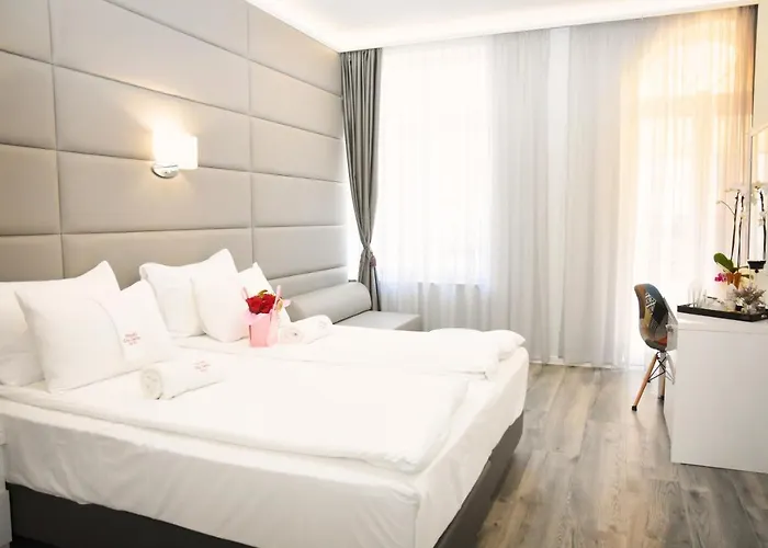 Center 普罗夫迪夫