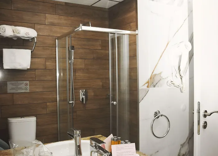 Center 酒店 普罗夫迪夫